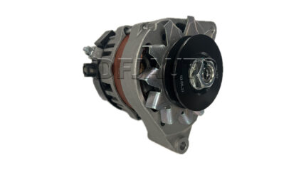 Bosch F002G90078 Lombardini 11573910